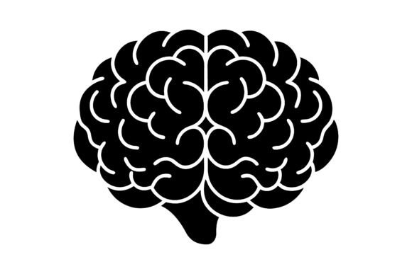 Brain Vector Icon – Graphics and Illustrations