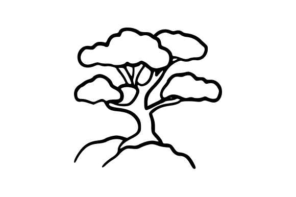 Outline Gnarled Tree Graphics and Illustrations