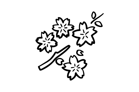 Outline Sakura Flower: Graphics & Illustrations